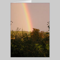 Rainbow Walk II cards