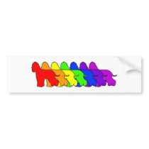 Rainbow Whiptail bumper stickers