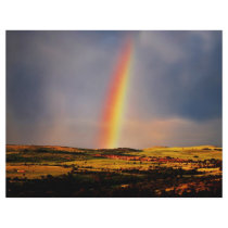 Rainbow wish come true flyers