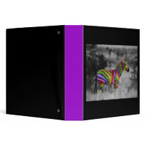 Rainbow Zebra Binder