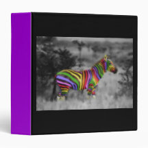 Rainbow Zebra Binder