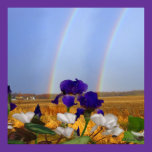 Rainbows and Irises Poster posters