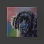 Rainbows and Sunshine - Newfoundland Dog Art Pins