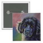 Rainbows and Sunshine - Newfoundland Dog Art Pins