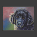 Rainbows and Sunshine - Newfoundland Dog Art Postcard