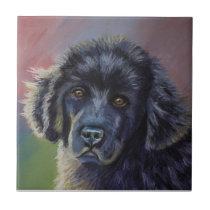 Rainbows and Sunshine - Newfoundland Dog Art tiles