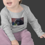 Rainbows and Sunshine - Newfoundland Dog Art T Shirts