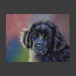 Rainbows and Sunshine - Newfoundland Dog Art Shirt