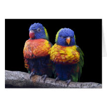 Rainbows Card