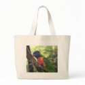 raindbow lorikeet bags by damredhead raindbow lorikeet bags