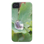 Raindrop on Columbine Leaf iPhone 4 Case-Mate Cases