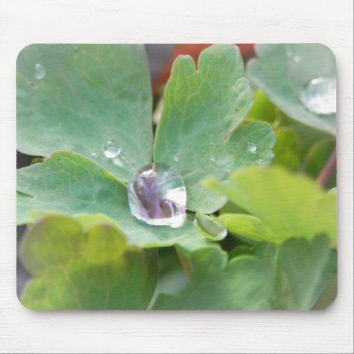 Raindrop on Columbine Leaf Mousepads