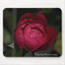Raindrop on Rose mousepad