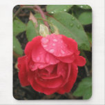 RAINDROP RED ROSE mousepad