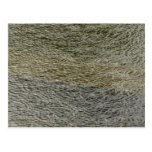 Raindrop Ripples Nature Postcard
