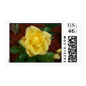 Raindrop Rose Postage stamp