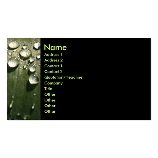Raindrop Shadows Business Card (front side)