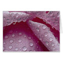 Raindrops -Card-