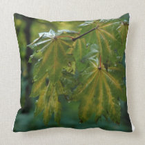 RAINDROPS IN THE FALL pillows