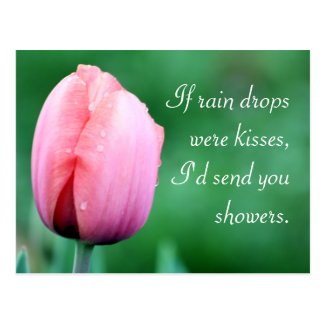 Raindrops & Kisses Tulip Photography Postcards