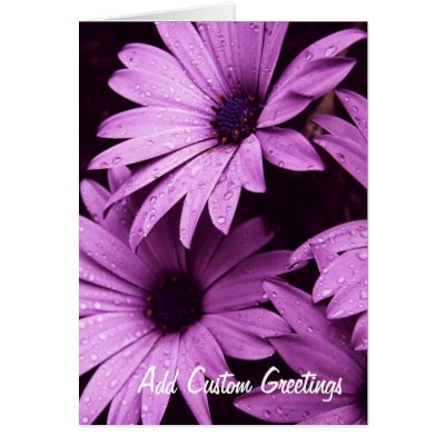 Raindrops Lilac Daisy Flower Custom Card