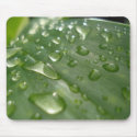 raindrops on a leaf mousepads by kawaiisoul raindrops on a leaf mousepads