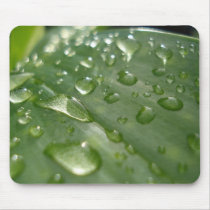 raindrops on a leaf mousepads by kawaiisoul raindrops on a leaf mousepads