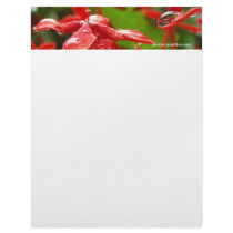 Raindrops On A Red Flower Custom Letterhead