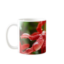 Raindrops On A Red Flower mugs by LMAshton Raindrops On A Red Flower mugs