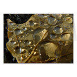 Raindrops on Fallen Leaf Greeting Card