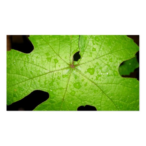 Raindrops on Grape Leaf Business Card