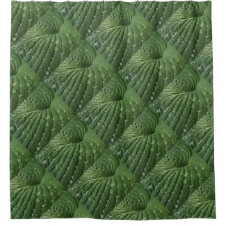 Raindrops on Green Hosta Leaf Shower Curtain