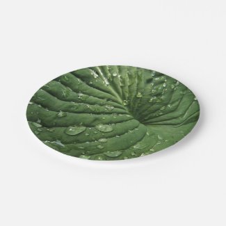Raindrops on Hosta Leaf 7 Inch Paper Plate
