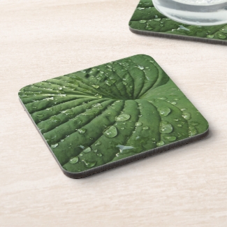 Raindrops on Hosta Leaf Cork Coasters