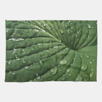 Raindrops on Hosta Leaf Kitchen Towel