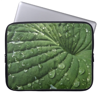 Raindrops on Hosta Leaf Laptop Sleeve