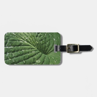 Raindrops on Hosta Leaf Luggage Tag