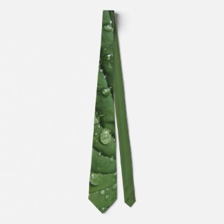 Raindrops on Hosta Leaf Necktie