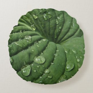 Raindrops on Hosta Leaf Round Pillow