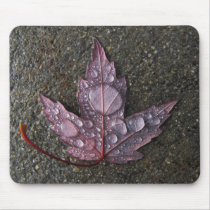 Raindrops on Leaf mousepads by ottergraph Raindrops on Leaf mousepads