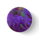 Raindrops on Purple Leaves buttons
