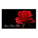 RAINDROPS ON ROSE #2 BUSINESS CARD