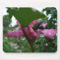Raindrops on the Bee Mousepad by TheMastersBouquet Raindrops on the Bee Mousepad