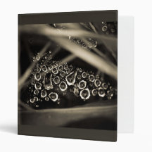 raindrops on web 3 ring binders
