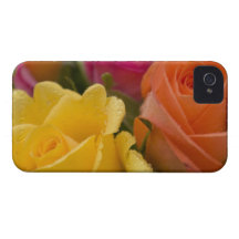 Raindrops on Yellow Orange and Pink Roses iPhone 4 Case-Mate Cases