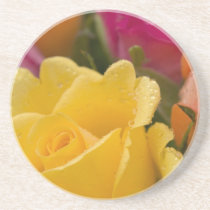 Raindrops on Yellow Orange and Pink Roses Drink Coaster
