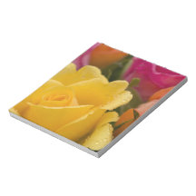 Raindrops on Yellow Orange and Pink Roses Notepad