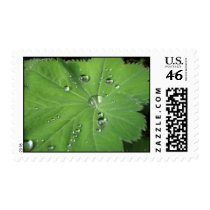 Raindrops postage by florianesser Raindrops postage