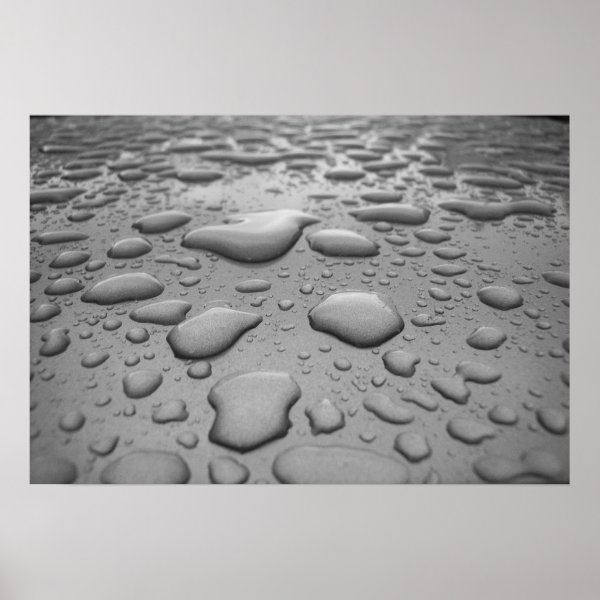 Raindrops Poster