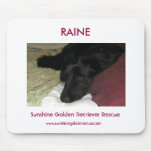 Raine - SunshineGolden Retriever Rescue mousepads